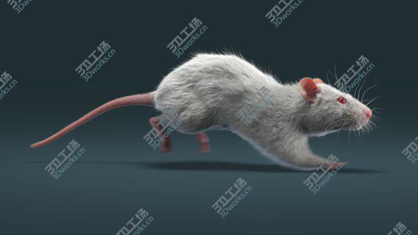 images/goods_img/20210312/Rat Fur Animated 3D model/3.jpg